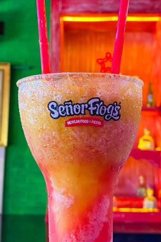 Señor Frog's Cozumel, photo 8 of 11